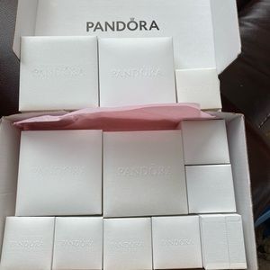 Empty Pandora boxes. Brand new as received with shipment. Price is for 12 boxes.